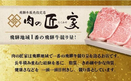 【訳あり】飛騨牛づくし定期便【2月・5月・8月・11月発送】 | 黒毛和牛 和牛 肉 牛肉 切落し 小分け 肉の匠家 BV106