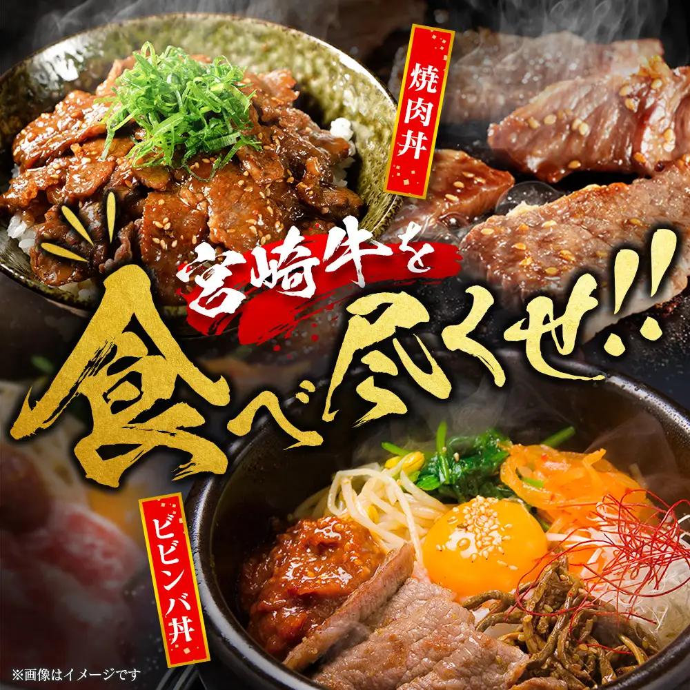 14営業日以内出荷 訳あり 宮崎県産 黒毛和牛 切り落とし（焼肉）計500g 肉 A351-Y-14D
