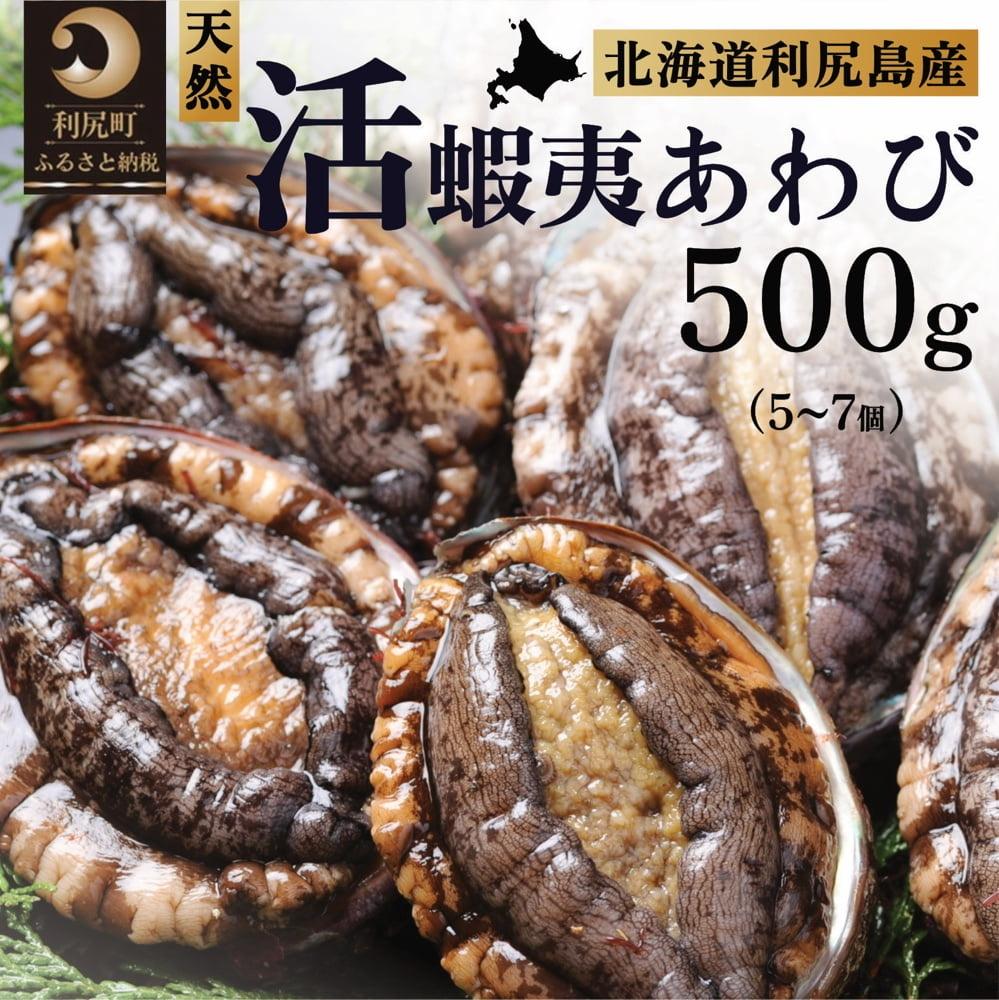 【ふるさと納税】【10～12月発送受付】活アワビ 500g 天然蝦夷あわび 利尻島産【期間限定】利尻昆布を食べて育った美味しいあわび [1060002]