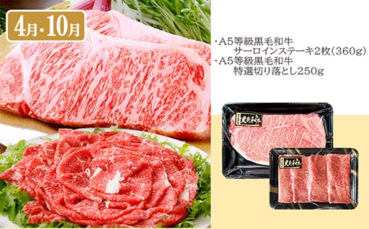 定期便(6回配送)A5等級鹿児島県産黒毛和牛三昧II-0016【1166763】_ ふるさと納税 定期便 牛肉 豚肉 霜降り 焼肉 黒毛和牛 サーロイン ステーキ 切り落とし ホルモン しゃぶしゃぶ 