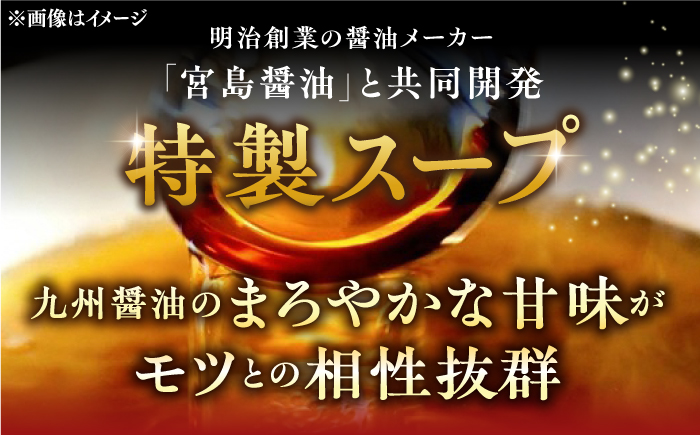 博多 醤油 もつ鍋 3～4人前《築上町》【株式会社MEAT PLUS】 [ABBP001] 9000円 9千円 9000円 9千円