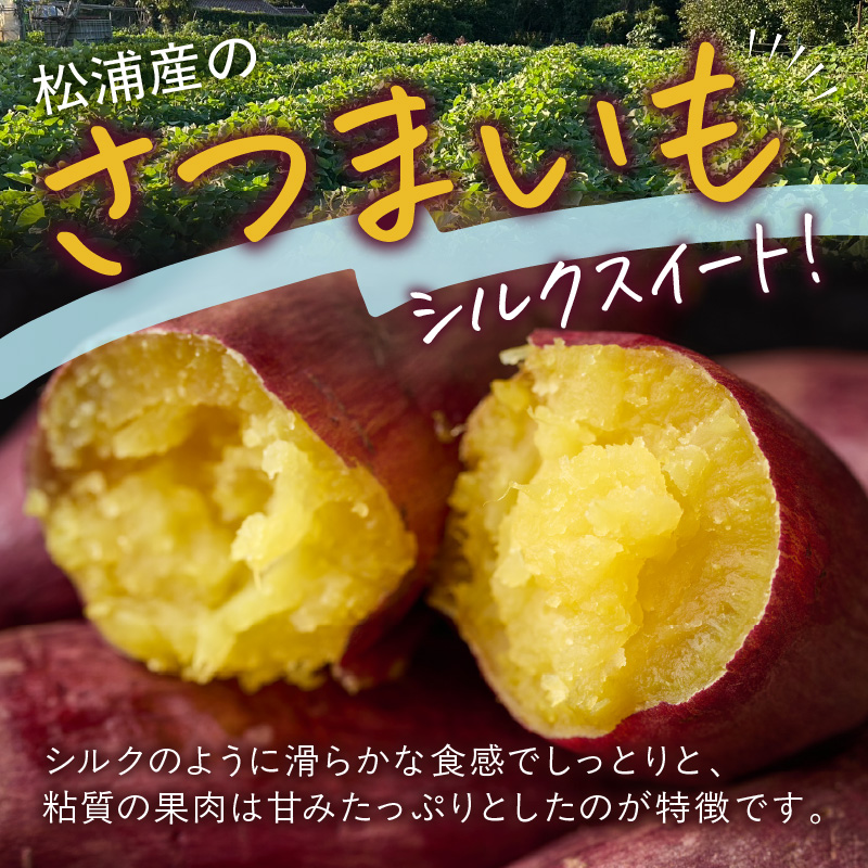 【長崎県松浦市産】畑の宝石 さつまいも(シルクスイート) 1kg ( さつまいも シルクスイート 長崎県松浦市産 長崎県産 )【A4-001】