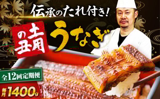 鰻【全12回定期便】うなぎ 蒲焼き 冷蔵 真空パック 10尾セット（2尾×5箱） ウナギ 絶品 国産 うな丼 鰻丼 うな重 鰻重 かば焼き 蒲焼 高級 丑の日 土用の丑の日 おすすめ 人気 お取り寄せ 送料無料 贈答 冷蔵 真空パック ギフト グルメ 惣菜 簡単調理 時短 湯煎 栄養満点 健康 贅沢 ご褒美 逸品 極上 ふっくら ふわふわ 食感 愛媛県大洲市/有限会社 樽井旅館[AGAH027]