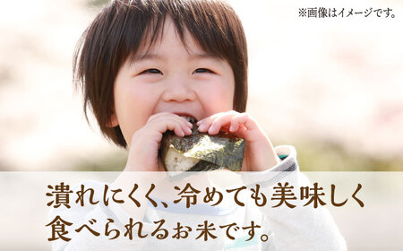 【3回定期便】 【数量限定】ヒノヒカリ 白米 10kg（5kg×2袋）【竹下農園】[ZEL005]