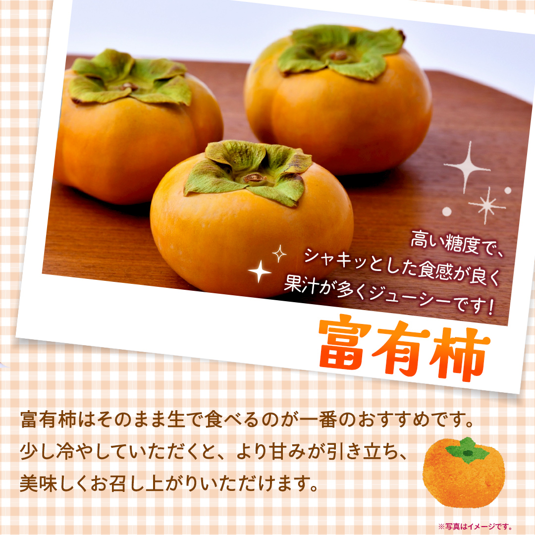 富有柿 Lまたは2L 約3kg【2026年10月より発送開始】（茨城県共通返礼品 [柿]：大子町産） | 柿  かき 旬 お取り寄せ フルーツ 甘い 秋の味覚 [FC23-NT]
