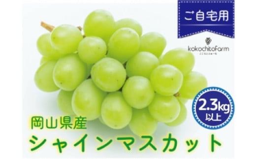 
            koko-03　ここちとふぁーむ　【ご自宅用】　岡山県産　シャインマスカット　4～5房　2.3kg以上
          