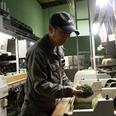 ふるさと納税 南九州市 【けやき製茶】かごしま知覧茶便利茶5本セット |  | 02