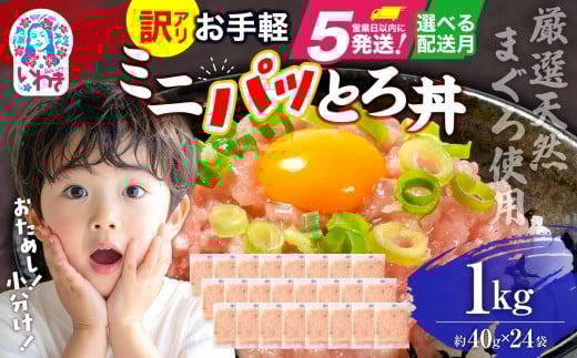 【2025年12月発送】ねぎとろ 約1kg（約40g×24パック）小分け 冷凍 個包装 使い切りパック 1人前 まぐろたたき まぐろ