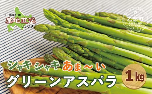 
            ＜北海道産 夏採れグリーンアスパラ １㎏＞シャッキリみずみずしい味わい！！ 北海道 北海道産 国産 産地直送 乙部町 旬 新鮮 農家直送 あすぱら アスパラガス 野菜 冷蔵配送 L以上 お取り寄せ 送料無料
          