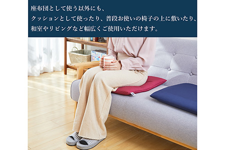 エアウィーヴ 座布団 ワインレッド  ｴｱｳｨｰｳﾞ
