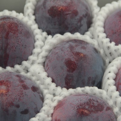 【発送月固定定期便】フルーツ定期便全3回【配送不可地域：離島・沖縄県】