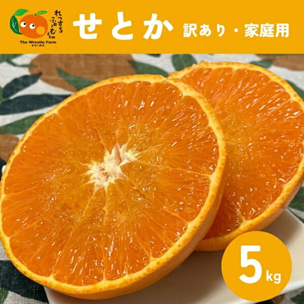 【ふるさと納税】せとか（施設・露地）5kg ご家庭用 訳あり レッスルファーム みかん 愛媛【2026年1月下旬順次発送】先行予約 数量限定 おすすめ 美味しい おいしい グルメ フルーツ くだもの 愛媛県産 人気 柑橘 伊予市｜B420