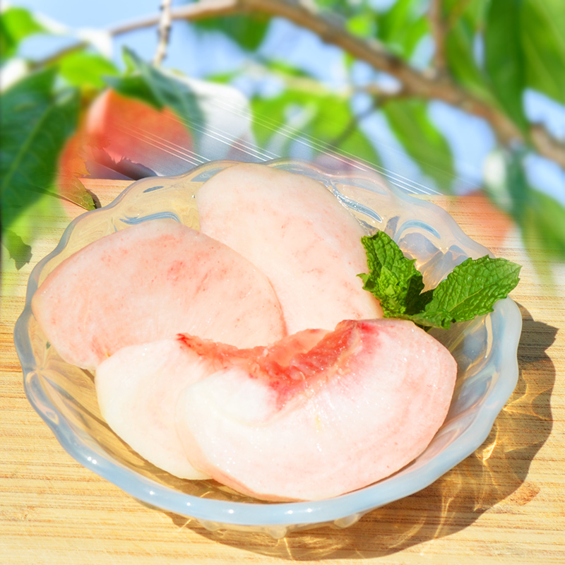 山形の硬い桃 秀品 約3kg(5～13玉) [固い桃] 【令和8年産先行予約】FS25-633