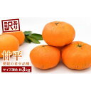 【ふるさと納税】訳あり 傷 甘平 かんぺい 約3kg | 高級 柑橘 自宅用 サイズ混合 果物 くだもの フルーツ お取り寄せ グルメ 人気 おすすめ 期間限定 数量限定 愛媛県 松山市