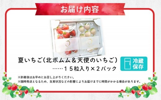 猿払産夏いちご紅白セット(1箱２パック入り)