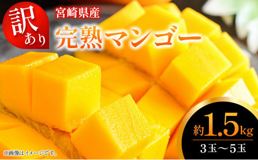 訳あり 完熟 マンゴー 約1.5kg （3玉～5玉） 宮崎県産 果物 フルーツ
