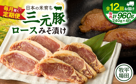【 全12回 毎月 定期便 】 日本 の 米育ち 平田牧場 三元豚 ロース みそ漬け 80g × 3枚 × 4P T036-T17-03 肉 豚肉
