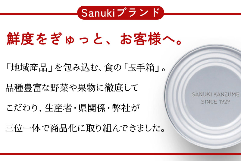 Sanuki フルーツ缶詰 りんご 12缶セット 国産果実 非常食 保存食 業務用