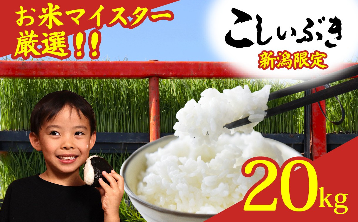 
            【先行予約】 令和7年産 こしいぶき 20kg コシヒカリ こしひかり 遺伝子を引き継ぐ ご飯 備蓄 コメ お米 米 こめ しんまい 新潟産 新潟米 新潟県 新潟 新発田 新発田市 国産 新発田市産 斗伸 toushin040
          
