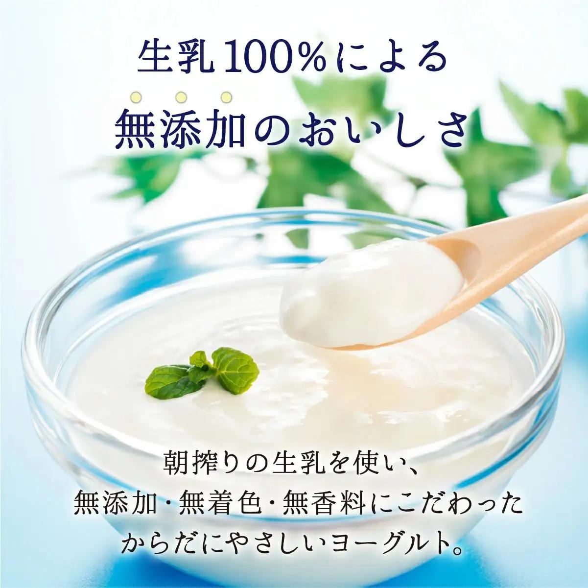 大富牧場の無添加ヨーグルト プレーンヨーグルト600g×1