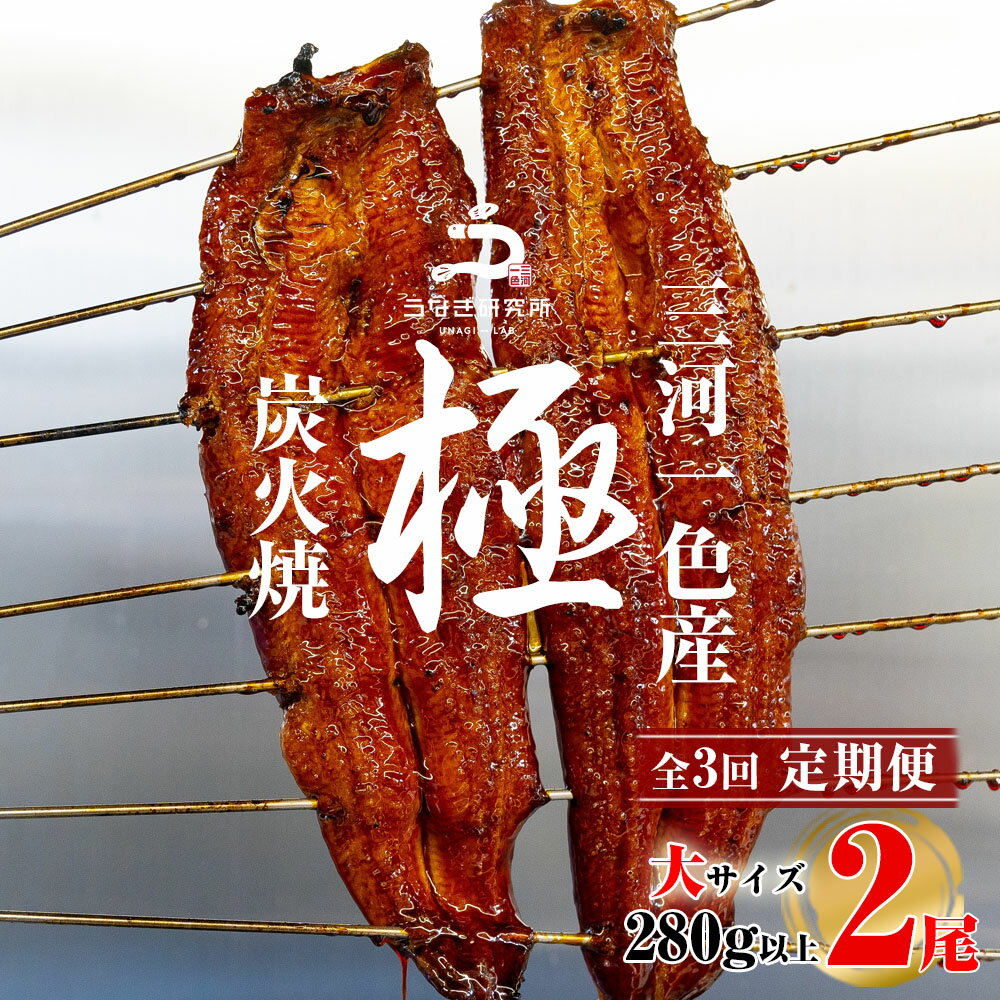 【ふるさと納税】【定期便】三河一色産うなぎ蒲焼大2尾（計280g以上）×3回・R012 鰻 鰻の蒲焼 鰻蒲焼 蒲焼 愛知県産 三河一色産 一色産うなぎ 大サイズ 惣菜 魚介 水産加工品 水産品 おかず 小分け 贈り物 ギフト グルメ お取り寄せ 愛知県 西尾市