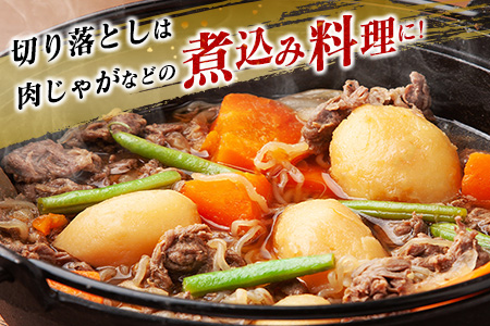 数量限定 宮崎牛 モモステーキ 切り落とし セット 合計850g 肉 牛 牛肉 国産 すき焼き ステーキ モモ 赤身 送料無料_D62-22