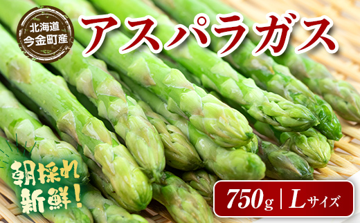 【先行予約】朝採れ新鮮アスパラ 750g （Lサイズ）（2025年3月下旬～6月中旬または7月上旬～9月上旬頃発送） 野菜 秀品 北海道産 バーベキュー BBQ キャンプ 旬野菜 アスパラガス 栄養満