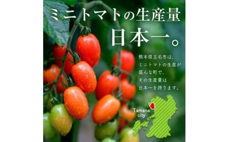 【定期4回】『大家ファーム』のミニトマト アイコ 1.2kg×4回 | 野菜 やさい トマト ミニトマト 定期 定期便 熊本県 玉名市 玉名