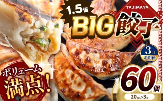 【定期便3回】たじまやオリジナルビッグ 餃子 60個    | TAJIMAYA たじまや タジマヤ 大きい ビッグ BIG 餃子 売れ筋 大人気 好評 やみつき リピーター リピート ぎょうざ 旨み 旨味 ぱりっと もっちり ジューシー おかず 惣菜 中華 肉 肉汁 地場 野菜  たっぷり 焼 ごはん おつまみ 栃木県 真岡市 送料無料