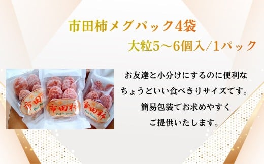 市田柿 メグパック 4袋 | 果物 くだもの フルーツ 市田柿 柿 干し柿 贈答用 プレゼント 贈り物 長野県 飯田市