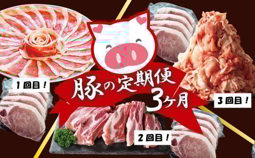 【定期便3ヶ月】大館北秋田産・豚の定期便 150P2154　/ 国産 秋田 ポーク 仕切り 小分け すきしゃぶ しゃぶしゃぶ しゃぶすき すき焼き 焼肉 鍋 炒めもの ステーキ とんかつ おもてなし バーベキュー BBQ クリスマス パーティー 取り寄せ グルメ ご褒美 食材 お弁当 食材 冷凍 定期便 スペアリブ 豚肉 豚切り落とし 豚肉切り落とし