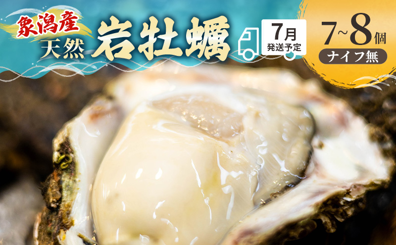 象潟産 天然岩牡蠣 7～8個 ナイフ無【 牡蠣 夏牡蠣 かき 象潟 生食可 魚介類 海鮮 海産物 海の幸 】 佐藤鮮魚店