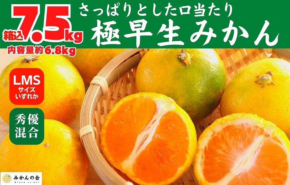 みかん 極早生 箱込 7.5kg (内容量約 6.8kg)  S/M/Lサイズのいずれか 秀品 優品 混合 有田みかん 和歌山県産 【みかんの会】
