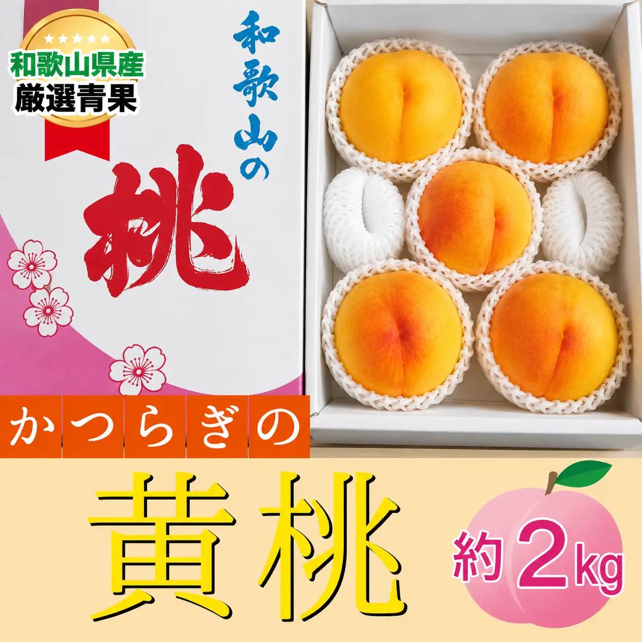 ★かつらぎの黄桃★＜品種おまかせ＞約2kg 5～8玉【2026年6月下旬～2026年8月上旬順次発送】【A256-frks149】