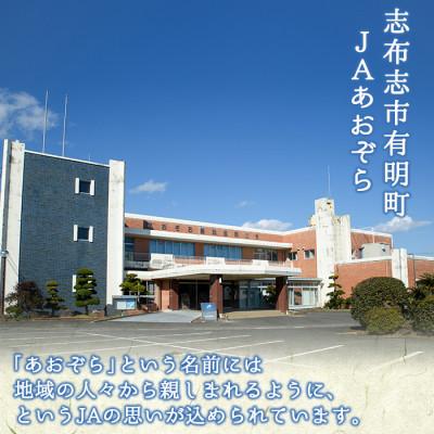 ふるさと納税 志布志市 まじめな甚兵衛どんの有明茶500ml×24本 |  | 02