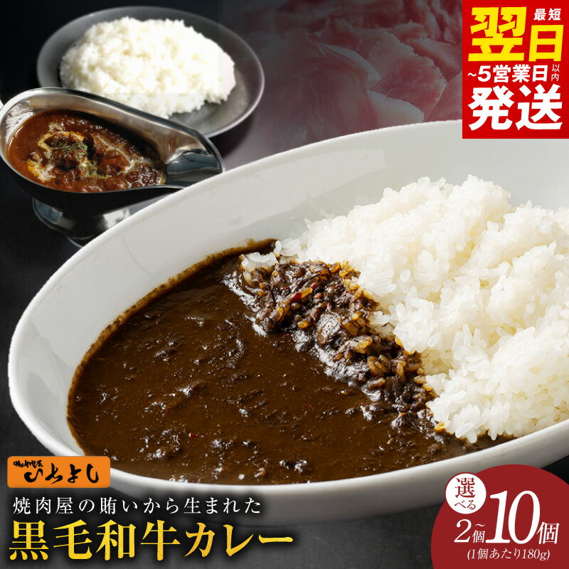 【ふるさと納税】牛肉 国産 和牛 カレー 180g 2個 / 7個 / 10個 生活応援 特別規格 レトルト 惣菜 簡単調理 防災 備蓄 小分け 和牛カレー 温めるだけ 時短 レトルトカレー 常備用 防災グッズ 保存食 最短 翌日発送 5営業日 泉佐野市 送料無料 肉の泉佐野