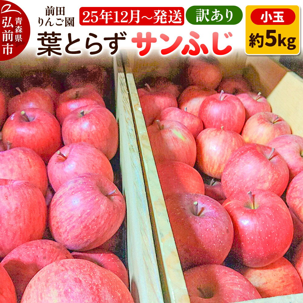 【ふるさと納税】【レビューキャンペーン】【25年12月発送】りんご【訳あり】葉とらず サンふじ 約5kg 小玉 前田りんご園