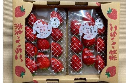 【2026年（令和8年）1月～発送】 いちご 苺 珠姫（たまひめ）×4パック 甘い 大粒 イチゴ めいとく農園