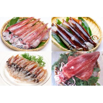 ふるさと納税 香美町 (先行予約)香住のイカづくしセット(令和7年6月下旬以降の発送) |  | 01