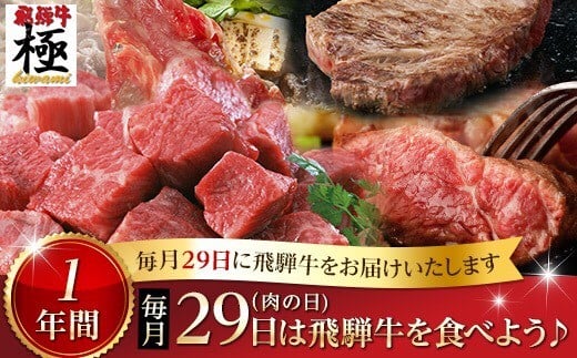 
飛騨牛 定期便 毎月29日（肉の日） 飛騨牛を食べよう！ 1年バージョン 牛肉 和牛 飛騨市推奨特産品
