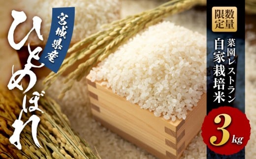 【令和6年産】数量限定 菜園レストラン「野の風」自家栽培米 ひとめぼれ3kg