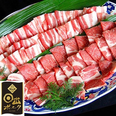 【日出ポーク】焼肉セット 豚バラ(500g)＆肩ロース(500g)【配送不可地域：離島】