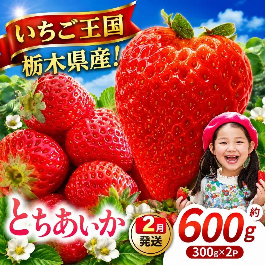 【先行予約】【期間限定】那珂川町産とちあいか 2月発送分 300g×2 |いちご とちあいか ジューシー フルーティー 大きい 新鮮 甘い 美味しい 果物 共通返礼品 フルーツ デザート 栃木県 那珂川町 送料無料