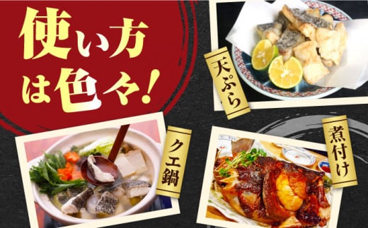 【 対馬産 】 最高級 クエ 鍋 セット （ 2〜3人前 ） 《対馬市》【石川水産】 水炊き 鮮度抜群 海鮮 [WAB007]天然くえ 高級魚 アラ 魚 新鮮 下処理 クエ 希少 人気 唐揚げ 鍋 海