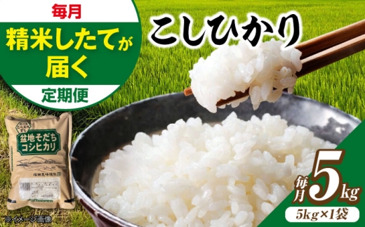 【全2回定期便】 米 盆地そだちこしひかり 5kg 5kg 5キロ ５キロ ５ｋｇ 白米  お米 令和7年産 ご飯 精米 コシヒカリ ごはん ご飯 ライス 白飯 こめ おいしい米 銘柄米 ブランド米 食卓 主食 食事 料理 自炊 お弁当 おにぎり おむすび 朝食 粘り 甘み つや おいしい 送料無料 国産 定期便 広島県産 三次市 / 福田農場 [APBM028]