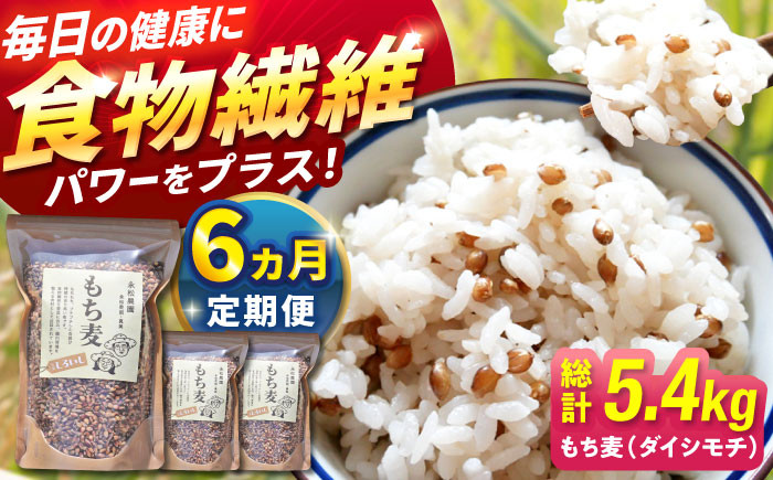 
            【令和6年度産】【全6回定期便】白石産 もち麦 900g（300g×3袋）/回（総計5.4kg）【道の駅しろいしカンパニー】  佐賀県 白石 [IAA035]
          