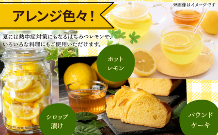 レモン 1kg - 香南市産 国産 檸檬 れもん 果物 くだもの フルーツ 野菜 柑橘 果汁 料理 アレンジ はちみつレモンパウンドケーキ 高知県 香南市 常温 冷蔵 sj-0008