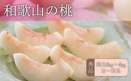 和歌山の桃 秀品 [約3.8～4kg] (サイズ・品種おまかせ) ※2026年6月中旬～2026年8月中旬頃に順次発送予定　紀伊国屋文左衛門本舗 和歌山 もも モモ 桃 果物 フルーツ 人気 産地直送 和歌山県 お取り寄せ【ntbt800B】