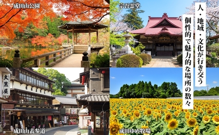 千葉県 成田市 旅行クーポン 1,500,000円分 成田空港 成田山 新勝寺 温泉 観光 旅行 ホテル 旅館 老舗 高級 トラベル チケット 家族 カップル 宿泊 予約 おすすめ 旅行券 宿泊券