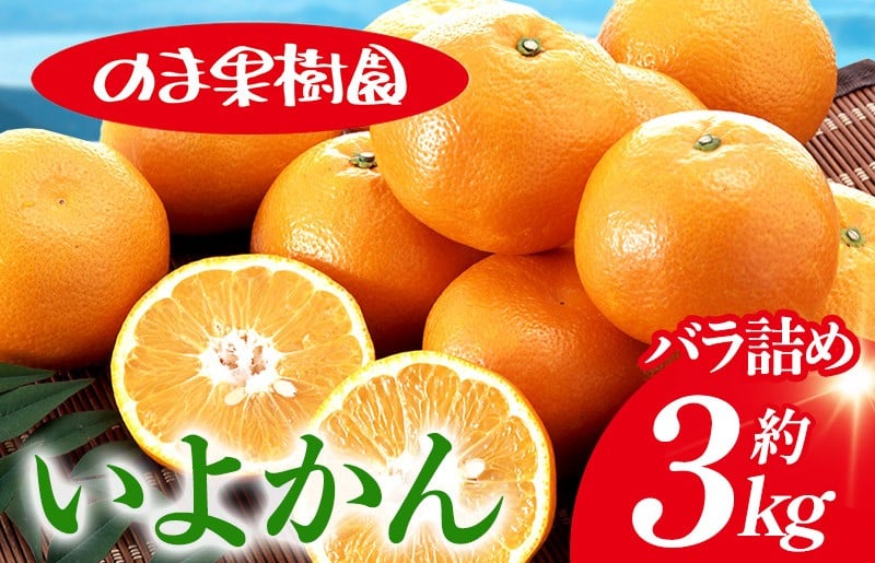 
                  ＼農家を応援キャンペーン実施中／いよかんバラ詰め（3kg） [K003660K3] 人気商品 国産 高級フルーツ 人気商品 みかん 柑橘 フルーツ 果物 乃万青果 のま果樹園 いよかん
                
